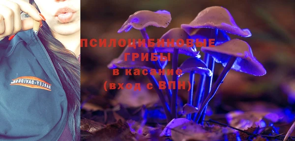 гидра Абинск