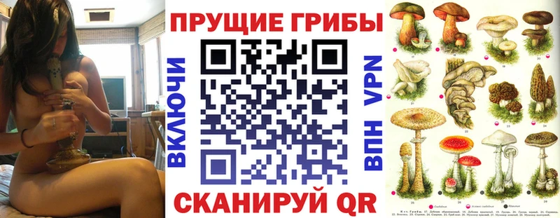 Галлюциногенные грибы мицелий  купить закладку  Ряжск 